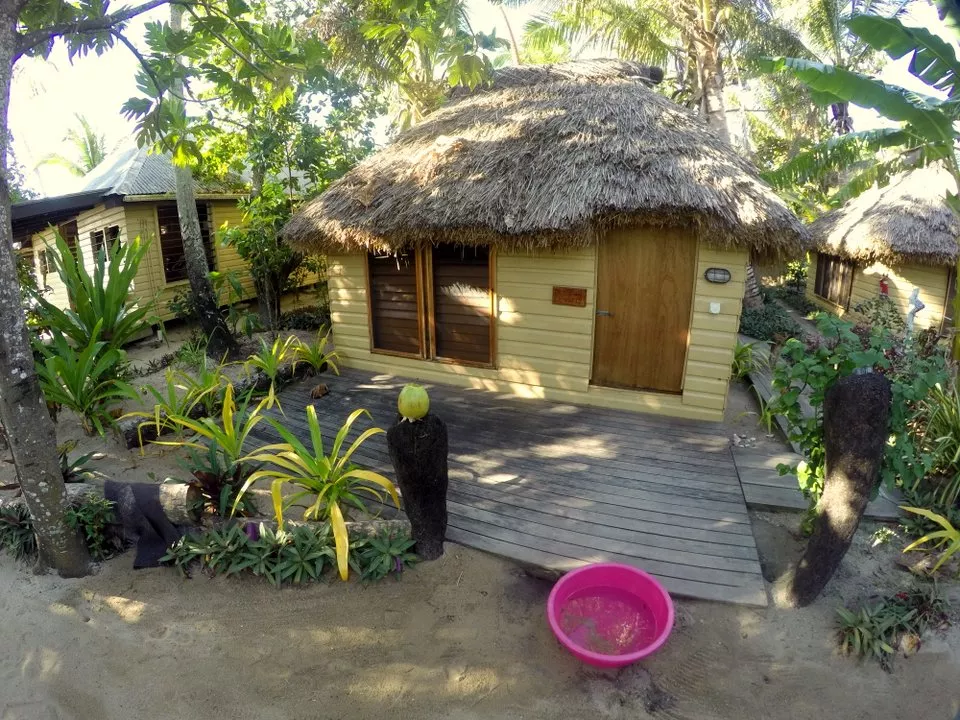 navua river cruise