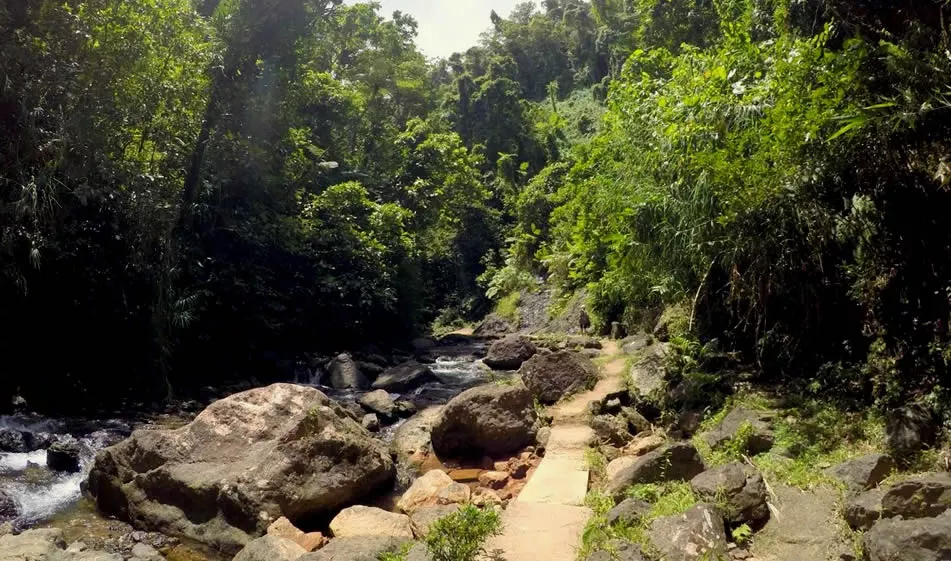 navua river cruise